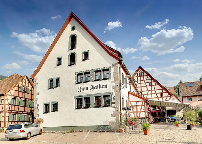 Zum Falken Hotel 3*