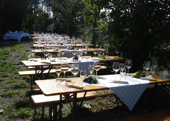 Hotel Zum Falken 3*