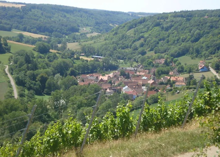 Hotel Zum Falken 3*