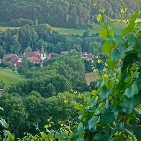 Hotel Zum Falken