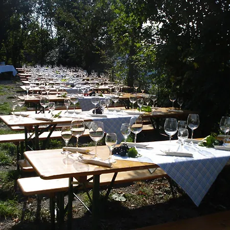 Hotel Zum Falken 3*