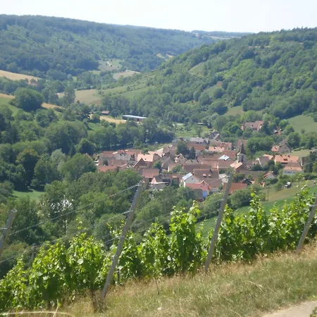 Hotel Zum Falken 3*