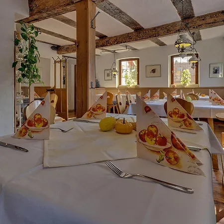 Hotel Landhaus Zum Falken 3*